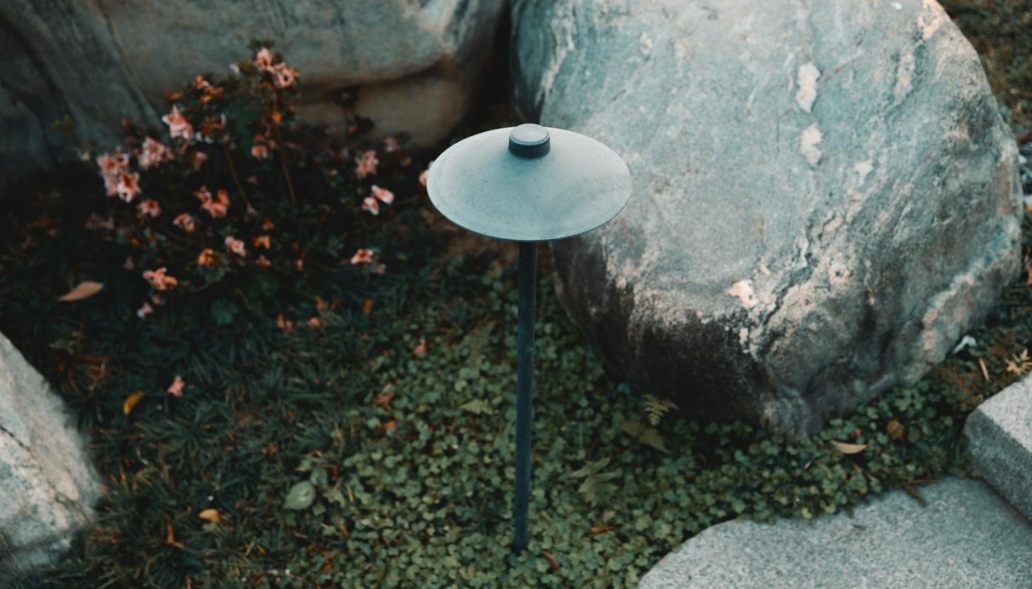 Landscape path light along a walkway